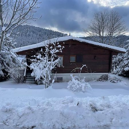 Вилла Chalet Situe Au Grand Valtin Ban-sur-Meurthe-Clefcy Экстерьер фото