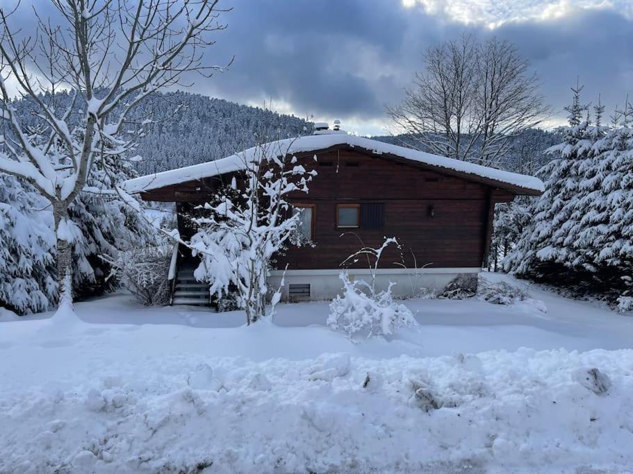 Вилла Chalet Situe Au Grand Valtin Ban-sur-Meurthe-Clefcy Экстерьер фото