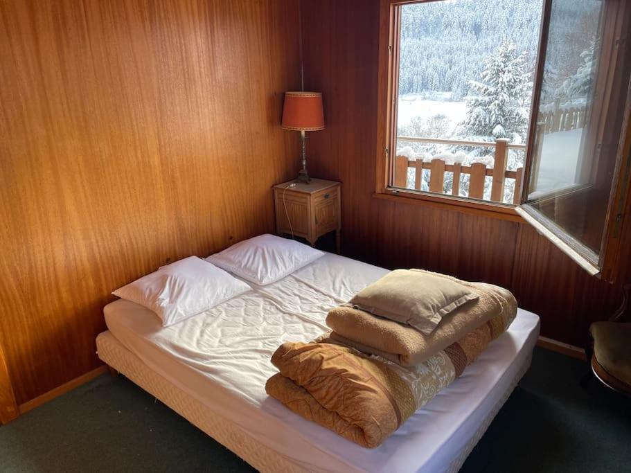 Вилла Chalet Situe Au Grand Valtin Ban-sur-Meurthe-Clefcy Экстерьер фото